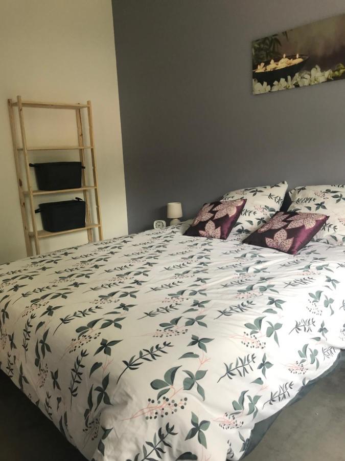 Appartement A Tarascon Sur Ariege Le Sabart 外观 照片